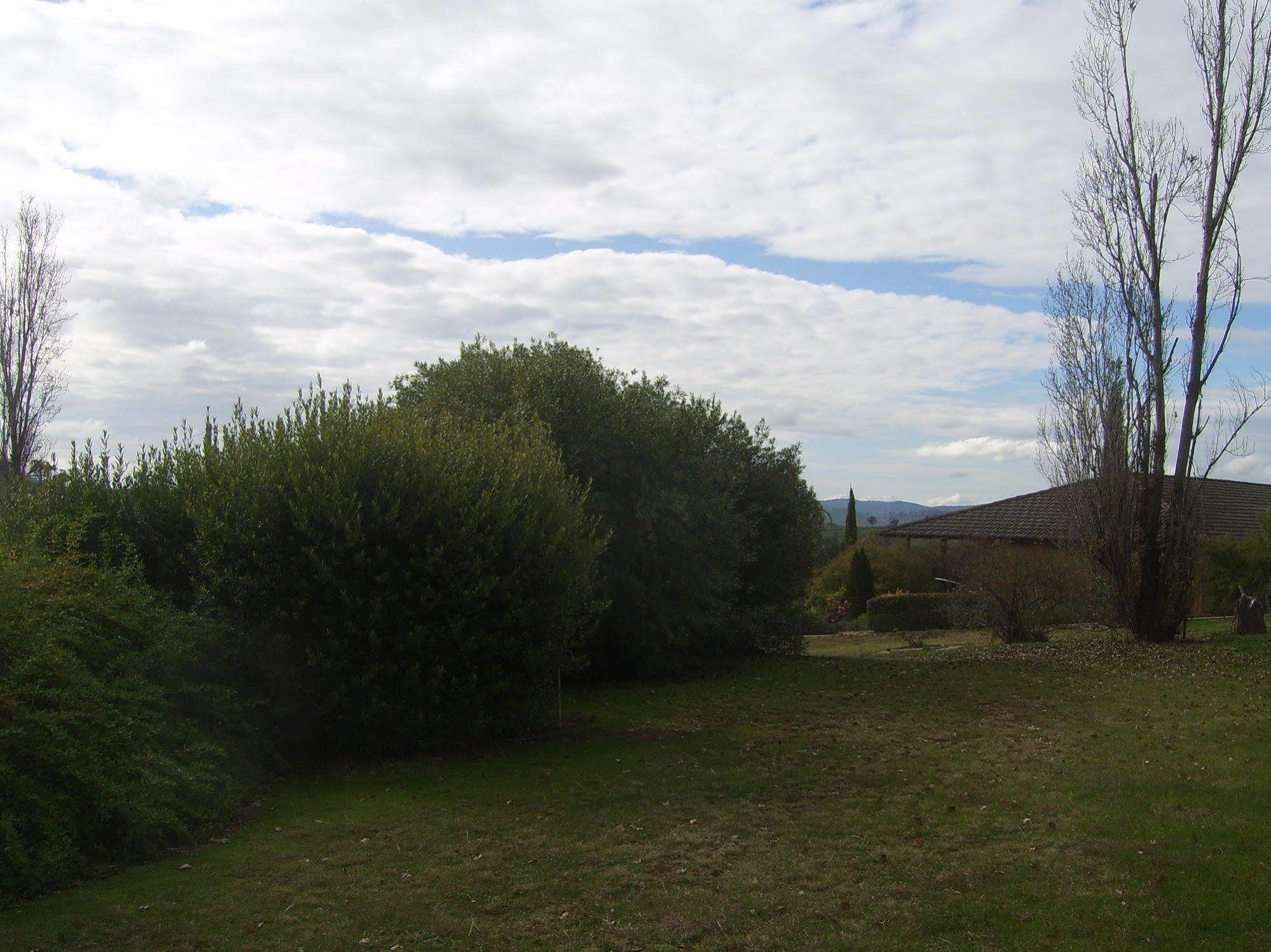 Garden Motor Inn Gundagai Exterior photo