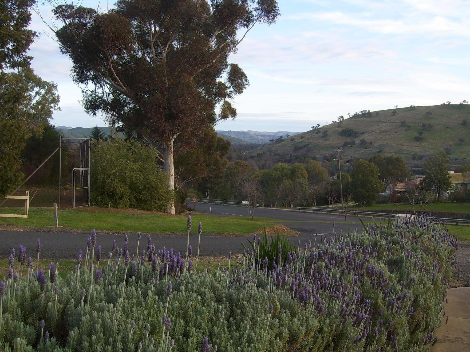 Garden Motor Inn Gundagai Exterior photo
